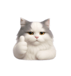 ふわふわラグドール猫（NT）（個別スタンプ：5）