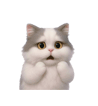 ふわふわラグドール猫（NT）（個別スタンプ：13）