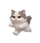 ふわふわラグドール猫（NT）（個別スタンプ：14）