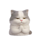 ふわふわラグドール猫（NT）（個別スタンプ：26）