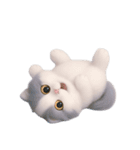 ふわふわラグドール猫（NT）（個別スタンプ：29）
