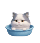 ふわふわラグドール猫（NT）（個別スタンプ：39）