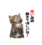 辛いものが好きなねこ（個別スタンプ：3）