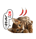 辛いものが好きなねこ（個別スタンプ：9）