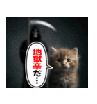 辛いものが好きなねこ（個別スタンプ：12）