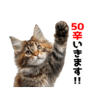 辛いものが好きなねこ（個別スタンプ：15）