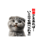 辛いものが好きなねこ（個別スタンプ：19）
