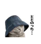 辛いものが好きなねこ（個別スタンプ：38）