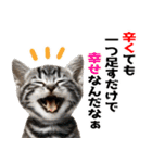 辛いものが好きなねこ（個別スタンプ：39）