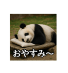 のんびりな脱力パンダ（個別スタンプ：5）