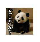 のんびりな脱力パンダ（個別スタンプ：8）