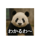 のんびりな脱力パンダ（個別スタンプ：11）
