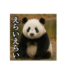のんびりな脱力パンダ（個別スタンプ：19）