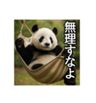 のんびりな脱力パンダ（個別スタンプ：21）