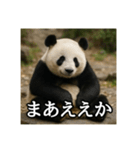のんびりな脱力パンダ（個別スタンプ：23）