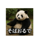 のんびりな脱力パンダ（個別スタンプ：27）