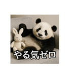 のんびりな脱力パンダ（個別スタンプ：31）