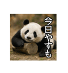 のんびりな脱力パンダ（個別スタンプ：32）