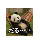 のんびりな脱力パンダ（個別スタンプ：33）