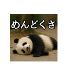 のんびりな脱力パンダ（個別スタンプ：34）