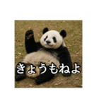 のんびりな脱力パンダ（個別スタンプ：37）