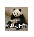 のんびりな脱力パンダ（個別スタンプ：40）