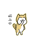 柴わんのおじー（個別スタンプ：11）