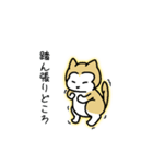 柴わんのおじー（個別スタンプ：12）
