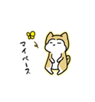 柴わんのおじー（個別スタンプ：14）