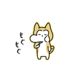 柴わんのおじー（個別スタンプ：19）