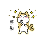 柴わんのおじー（個別スタンプ：20）