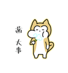 柴わんのおじー（個別スタンプ：22）