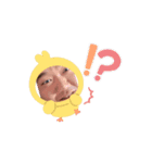 韓国面白い（個別スタンプ：5）