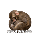 【bulu】かわいいお猿さん（個別スタンプ：4）