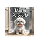 主婦・主夫用の犬スタンプ（個別スタンプ：18）
