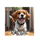主婦・主夫用の犬スタンプ（個別スタンプ：19）