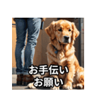 主婦・主夫用の犬スタンプ（個別スタンプ：20）