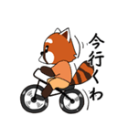 レッサーパンダと遊ぼう（個別スタンプ：3）
