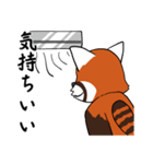 レッサーパンダと遊ぼう（個別スタンプ：8）