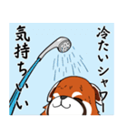 レッサーパンダと遊ぼう（個別スタンプ：14）