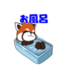 レッサーパンダと遊ぼう（個別スタンプ：16）