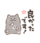 先生が使う猫スタンプ（個別スタンプ：17）