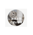 ちっちゃい挨拶（個別スタンプ：3）