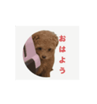ちっちゃい挨拶（個別スタンプ：5）