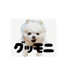 ちっちゃい挨拶（個別スタンプ：7）