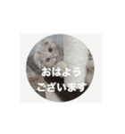 ちっちゃい挨拶（個別スタンプ：8）