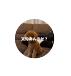 ぷあぷあスタンプだよ（個別スタンプ：1）
