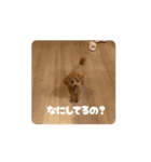 ぷあぷあスタンプだよ（個別スタンプ：6）
