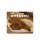 ぷあぷあスタンプだよ（個別スタンプ：12）