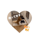ぷあぷあスタンプだよ（個別スタンプ：13）